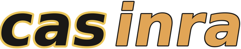 casinra logotipo